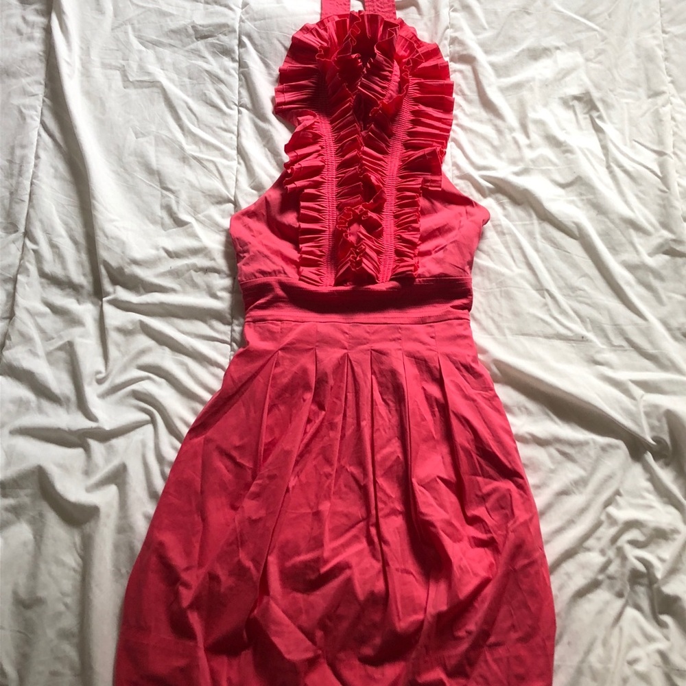 BCBG Maxazria Garden Party Dress
